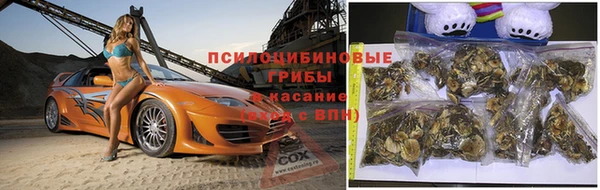 таблы Верея